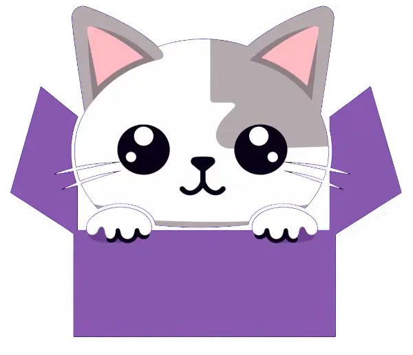 White cat inside of a box