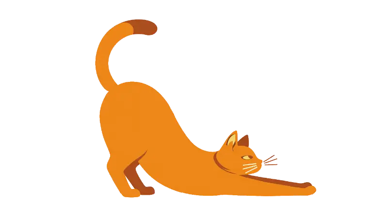 A cat at the computer responsive image